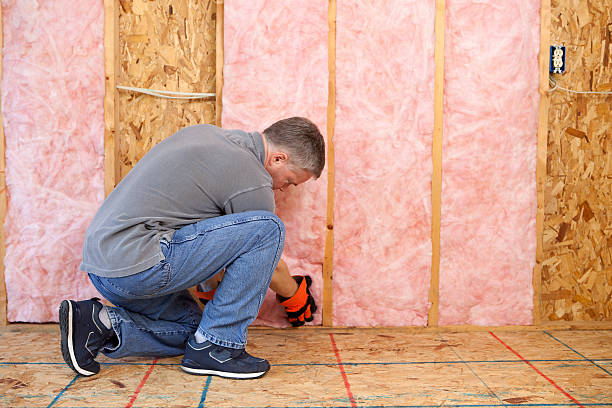 Best Insulation Maintenance and Repair in Mayfield, KY