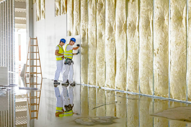 Types of Insulation We Offer in Mayfield, KY